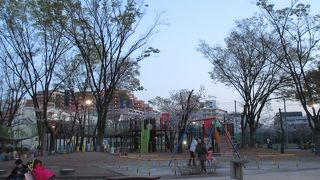 ちびっ子遊具が充実