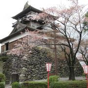 越前丸岡城の桜2018/4/7（土）