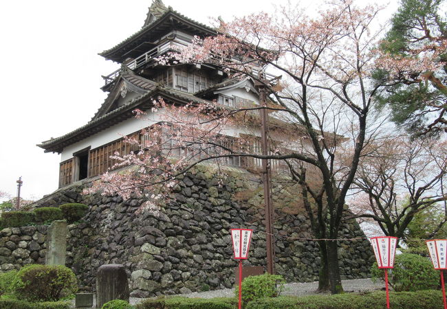 越前丸岡城の桜2018/4/7（土）