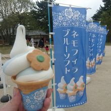 ネモフィラブルーソフト