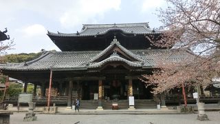 紀州の大寺院を満喫しました