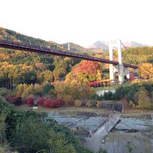 戸川公園 吊り橋