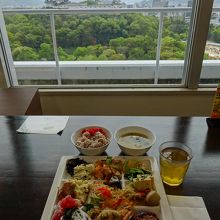 和歌山城を目の前に