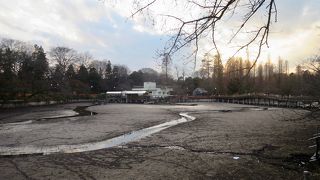 冬はかいぼり風景が見られる