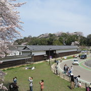 桜が綺麗だったわぁー