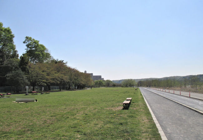 多摩川緑地福生南公園 クチコミ アクセス 営業時間 福生 武蔵村山 フォートラベル
