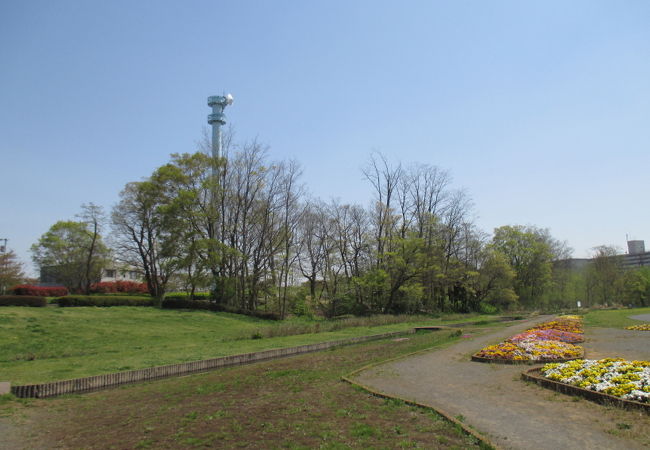 ４つの公園の中では１番です。