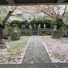 若干26歳で安政の大獄で命を散らした左内のお墓です。