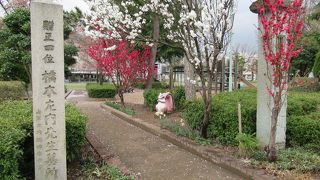 桜散る左内公園　2018/4/7(土)