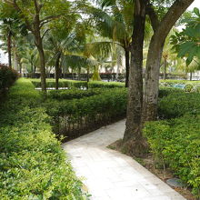 裏庭はジャスミンの香る散策路です