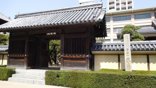 木造の福岡大仏様が見られるお寺