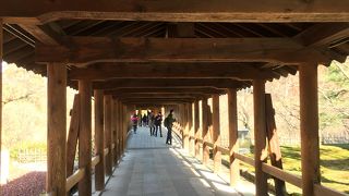 紅葉の時期はものすごいようです