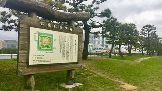 散歩にも良いです。