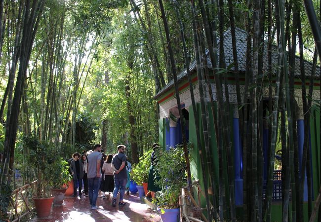 日本の竹林のような庭園