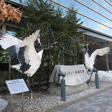 タンチョウヅルです