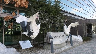 北海道の動物が迎えてくれる