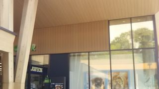 買い物もたのしい