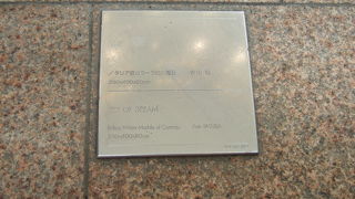 あちこちに兄弟がいるようです