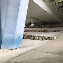 日陰になるのでトンビも安心