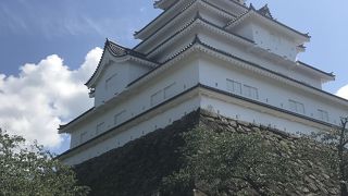 八重の桜の舞台