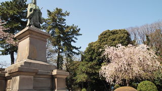 みなとみらい地区を見下ろしています