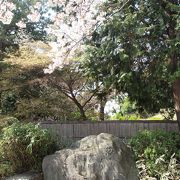 桜の木とともに句碑がありました