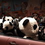 パンダが沢山