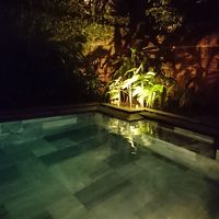 お部屋のプール