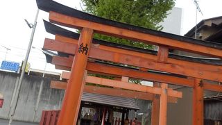 島原住吉神社境内にあった銀杏の大木