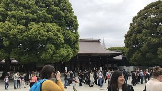 東京にいるのを忘れさせてくれる場所です！