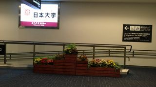 羽田空港ターミナル ビッグバード
