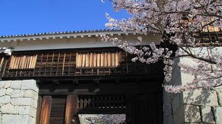 松山城最大の門