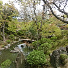 都会にいながら深山幽谷の趣も感じます