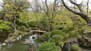 都会の喧騒を忘れさせます