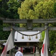 徳川の祖