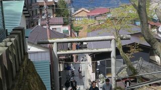 伊香保名物の365段の石段で、伊香保神社へ