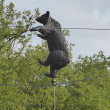 道路上にクマ園を示すクマがいます