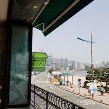 海沿いのビンスビンス