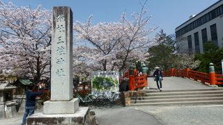 満開の桜が参拝者を迎えてくれた