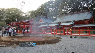 どんど焼きをしていました