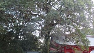 威厳がありました