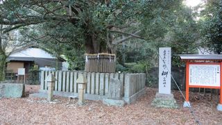 石碑の文字は新しい