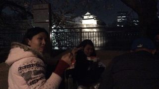 夜桜は綺麗、公衆トイレとのギャップがすごい