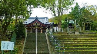 新緑の樹木/石段には苔に囲まれたお社