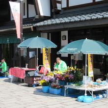 写真を撮ってもいいですか？と訊きました