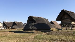 触れる展示が大人も楽しい