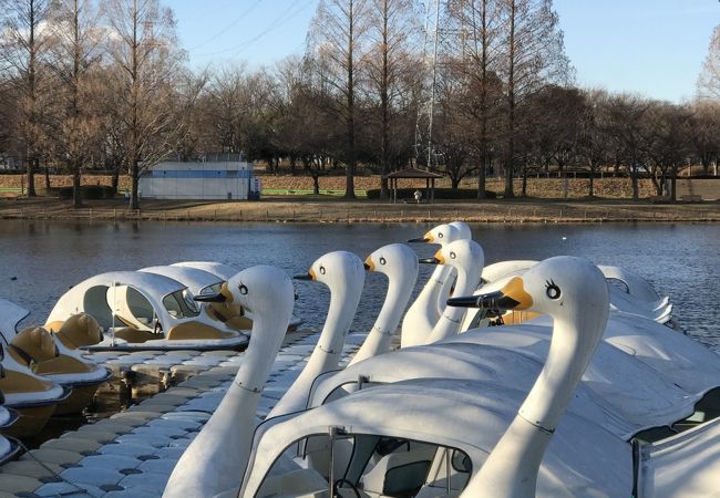 春は桜、夏はプール、秋にはお散歩、冬は釣堀