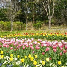 馬見公園