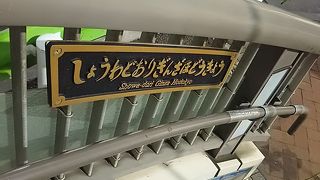 普通の歩道橋です