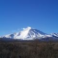 贅沢焼肉コースを大晦日に